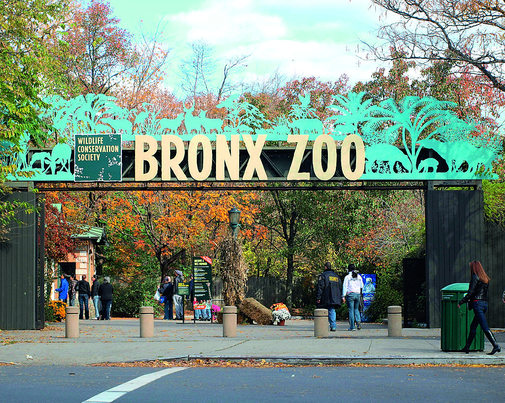 Bronx Zoo Una aventura divertida y salvaje