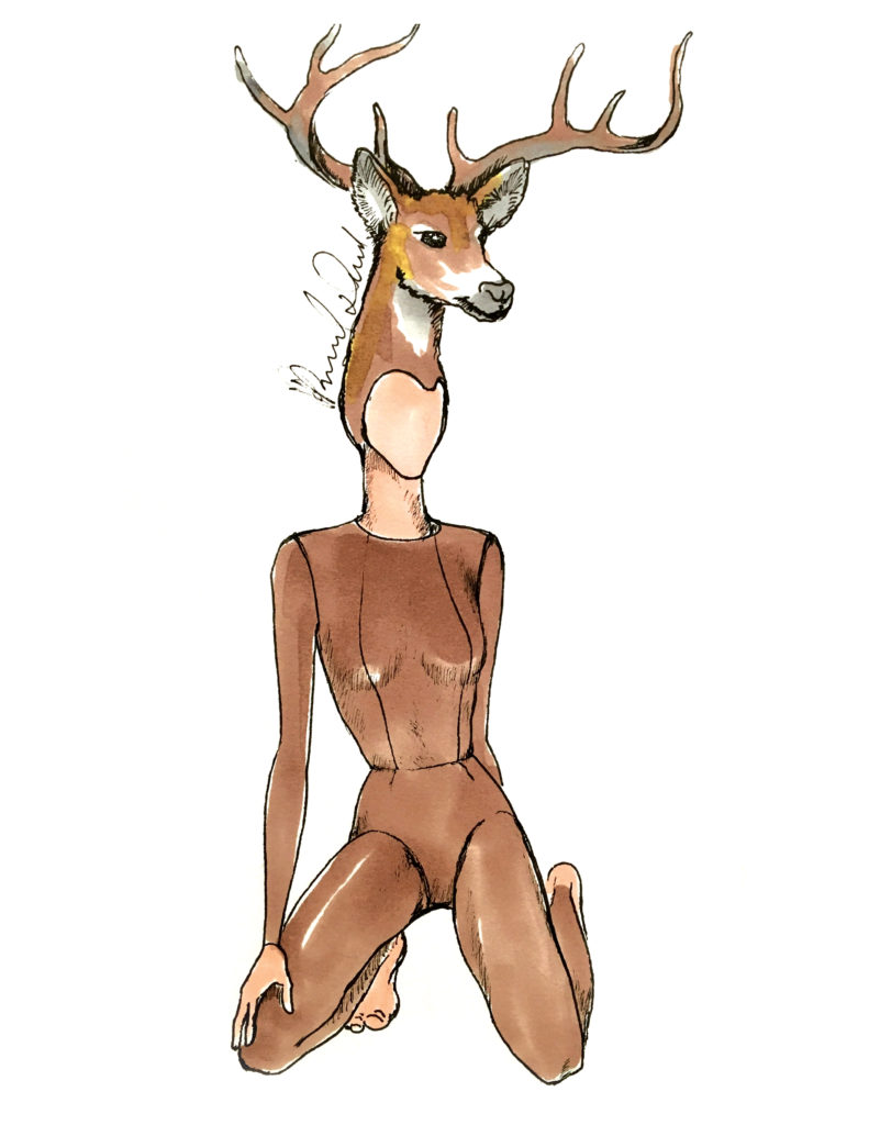 RD Deer Sketch