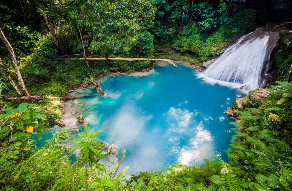 cascata del foro blu da sopra in giamaica jamaica 1920x1258 11247